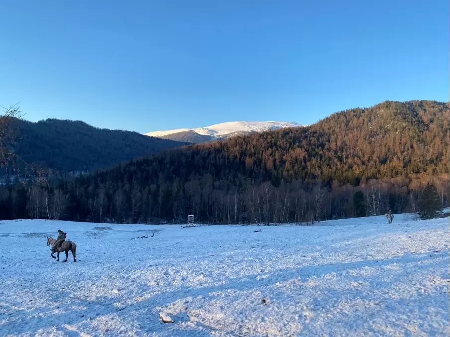 Охота с биноклем, виды на вышку Охота с биноклем, виды на вышку